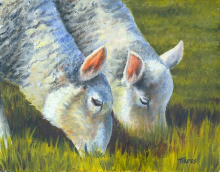 Splendour in the Grass
18x24
Oil Painting